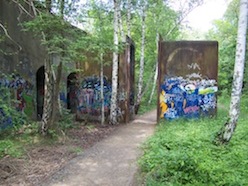 The Natur-Park Südgelände is an abandoned rail yard in Berlin has become a refuge in the city for native plants and animals. © Charles Nilon
