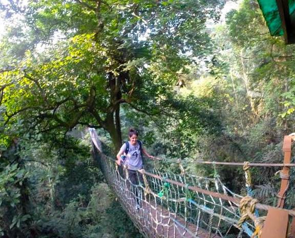 Ash Bhattacharjee crossing the rainforest canopy in Halimun National Park © Kelly Nguyen