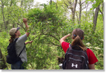 HMF students identify forest plants