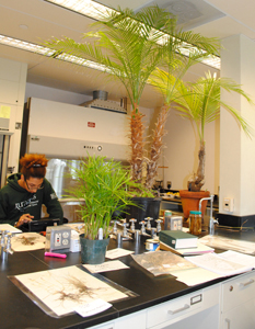 view of a plant laboratory