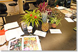 view of plants on a lab bench with learning materials, image courtesy of Susanne Ruemmele