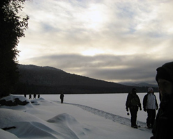 Winter Ecology 2011
