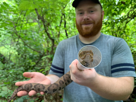 Bobby Kwait holding an eastern copperhead snake