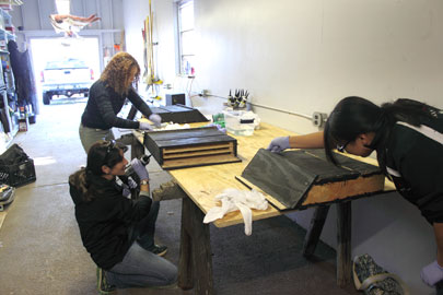 bat house assembly