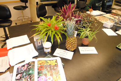 plants and other learning materials