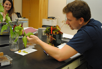 student examining a plant