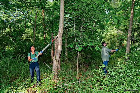 Photo: EDNA Lockwood Lab team taking samples.