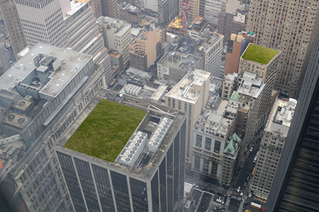 Photo: Manhatten Tundra Tops. Photo courtesy of Elizabeth Demaray