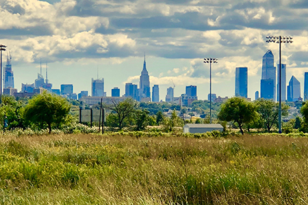 Photo: Secaucus High School Wetlands Enhancement Site.