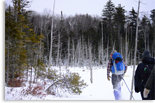 Students hiking