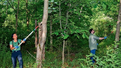 eDNA - Lockwood Lab team taking samples
