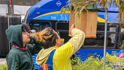 Installing a pollinator habitat