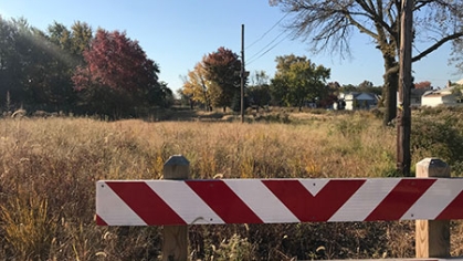 Restored meadow Watson Ave