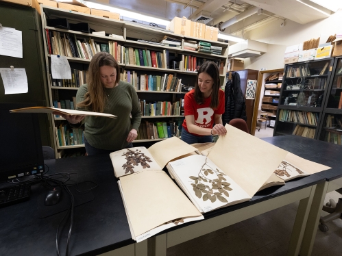 Megan King in the Chrisler Herbarium