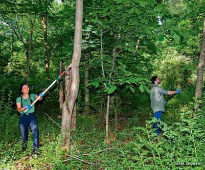 eDNA - Lockwood Lab team taking samples