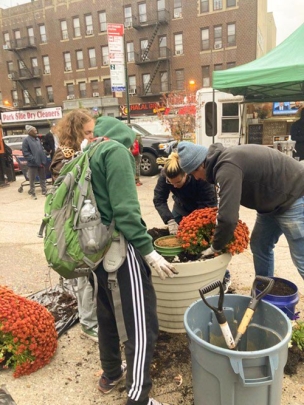 Planting