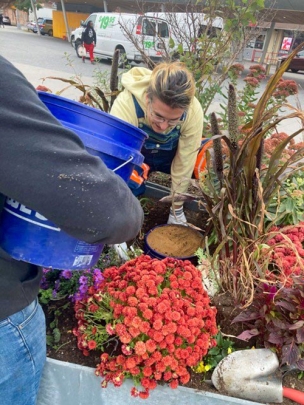 Bee habitat installation