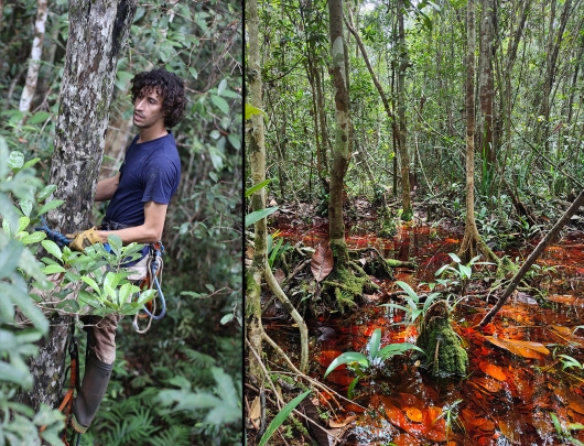 Andrew Aldercotte in Borneo