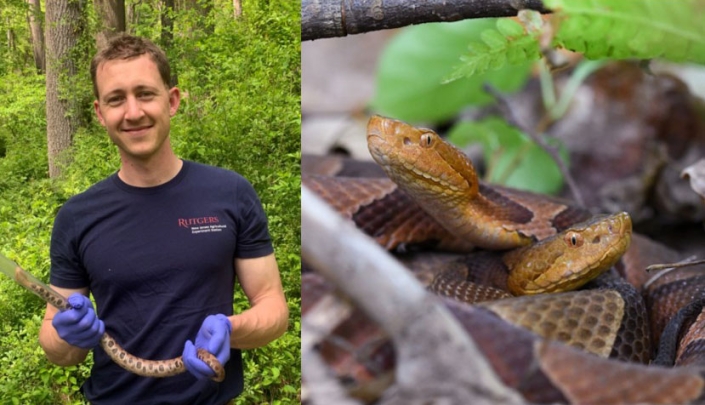 Tyler Christensen holding an eastern copperhead snake