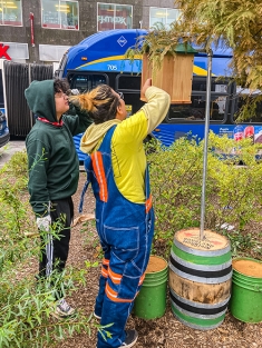Student installing a bee hotel