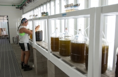 Inside the Haskins Shellfish Research Laboratories