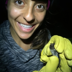 amanda-bevan-bat2-1300.jpg