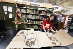 Chrysler Herbarium