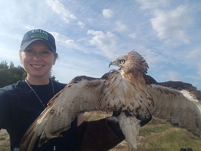 Photo: Tess Bender holding a red-tail falcon